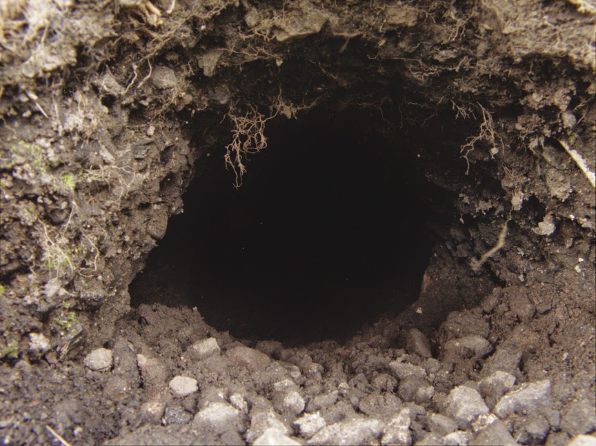 rabbit_hole0025.jpg
