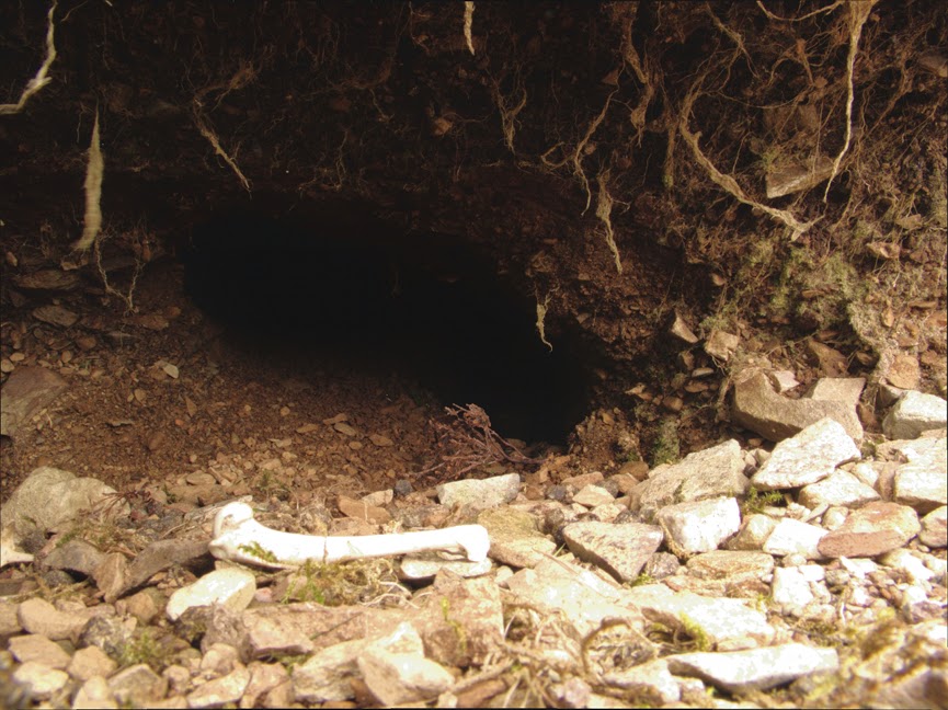 rabbit_hole0020.jpg