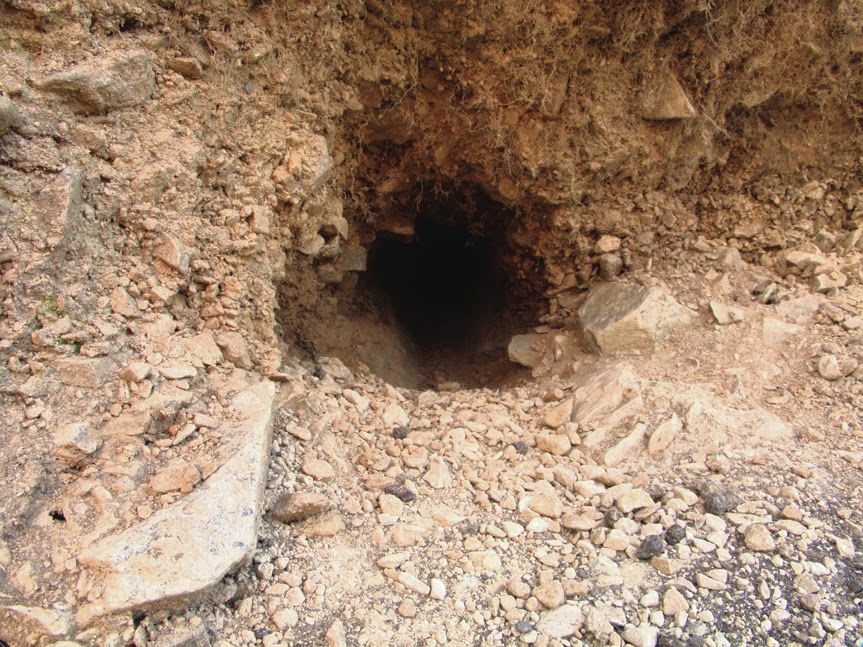 rabbit_hole0006.jpg