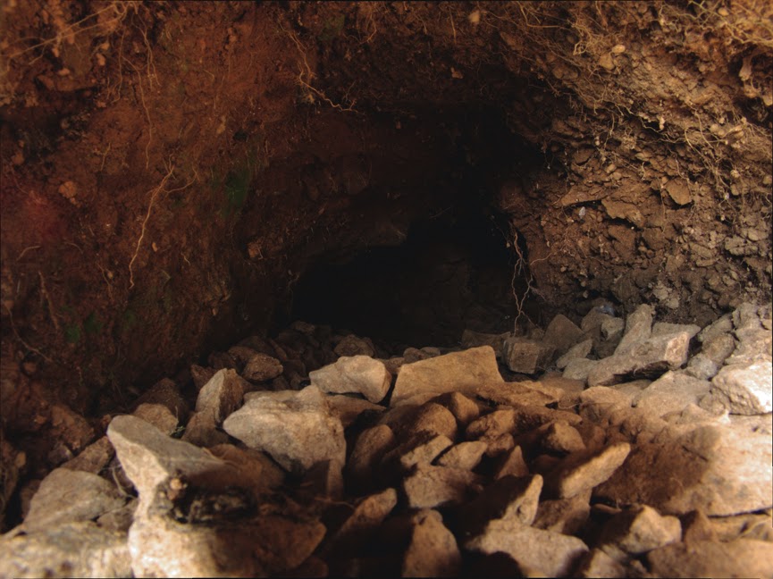 rabbit_hole0038.jpg