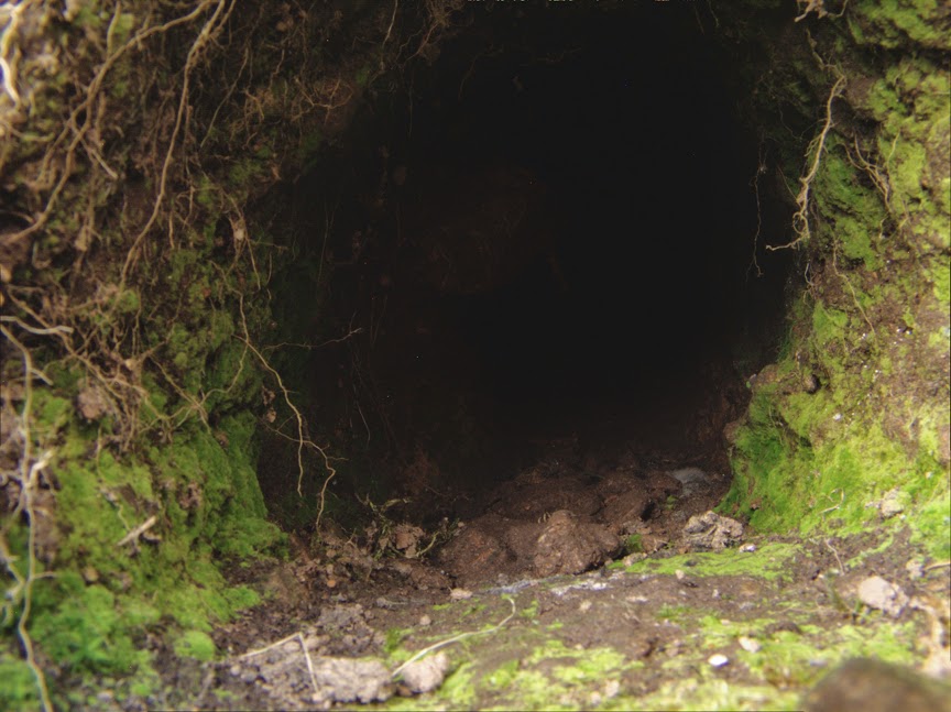 rabbit_hole0030.jpg