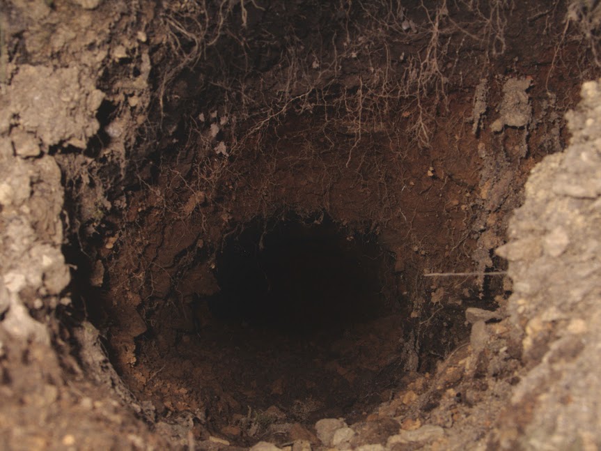 rabbit_hole0003.jpg