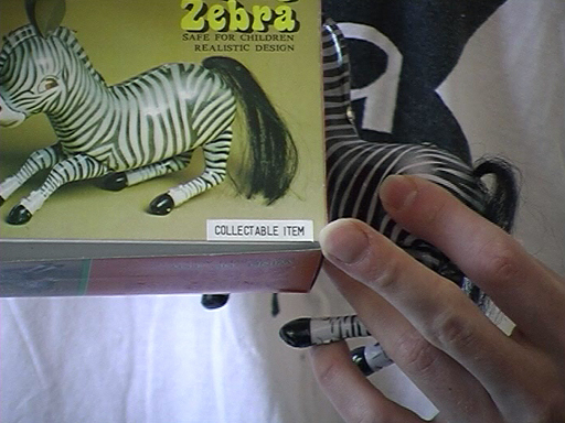 zebra2a512x384.jpg