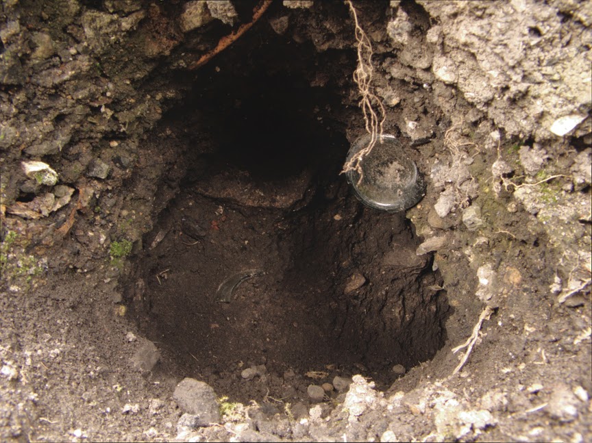 rabbit_hole0022.jpg
