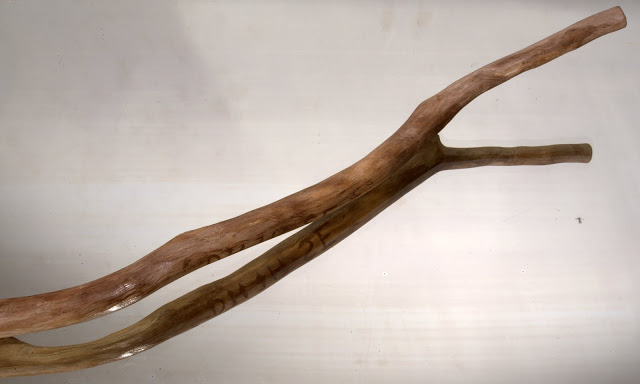 P1010359.jpg