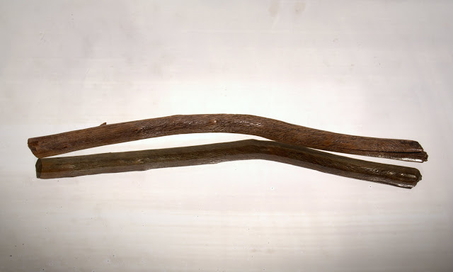 P1010351.jpg
