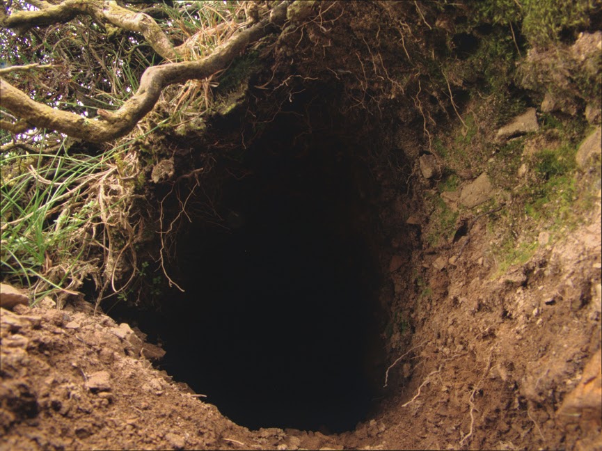 rabbit_hole0017.jpg