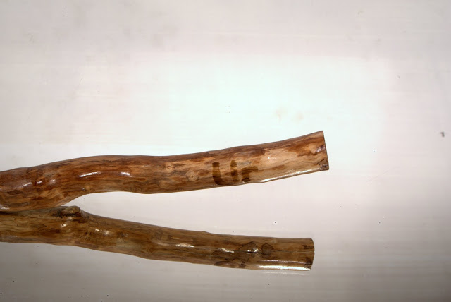 P1010342.jpg