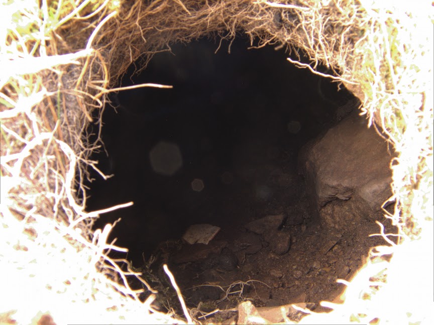 rabbit_hole0033.jpg