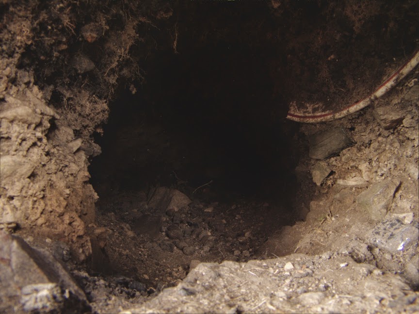 rabbit_hole0027.jpg