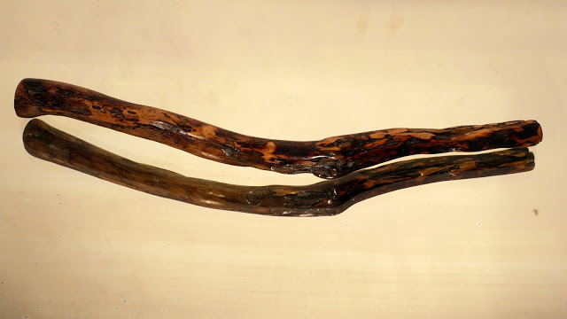 P1010317.JPG