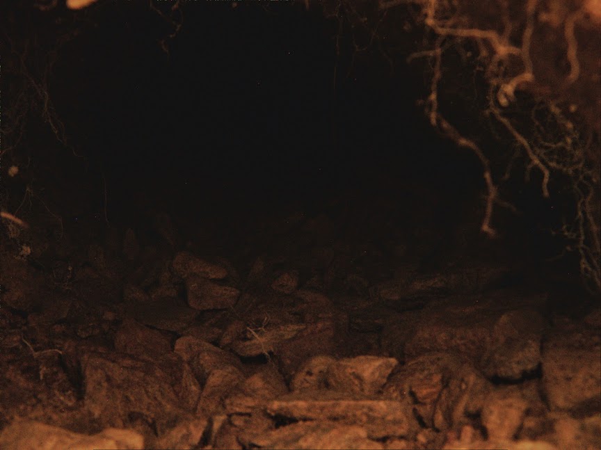 rabbit_hole0036.jpg