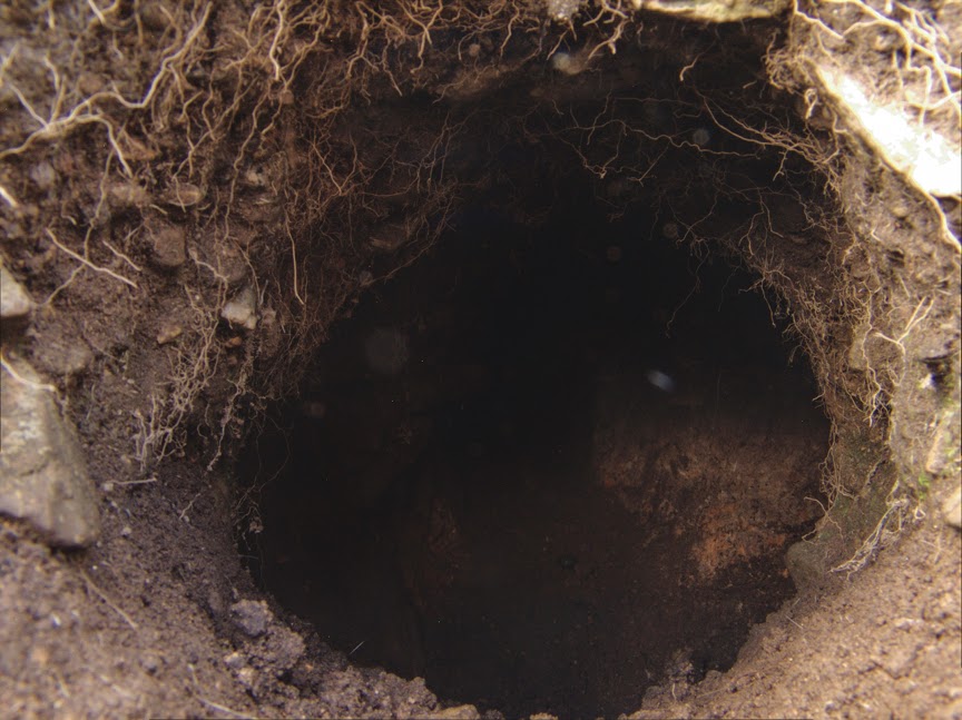 rabbit_hole0032.jpg