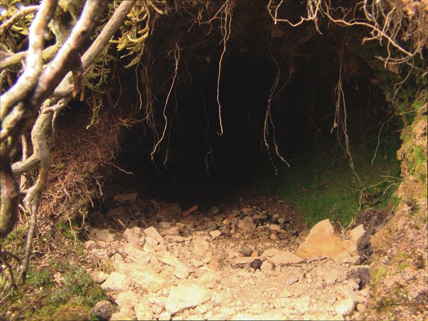 rabbit_hole0019.jpg
