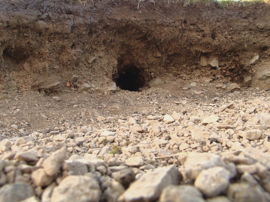 rabbit_hole0005.jpg